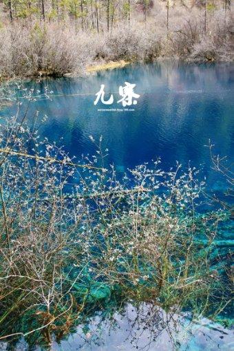 PTA企业集中检修,“力度超出预期”!影响几何?